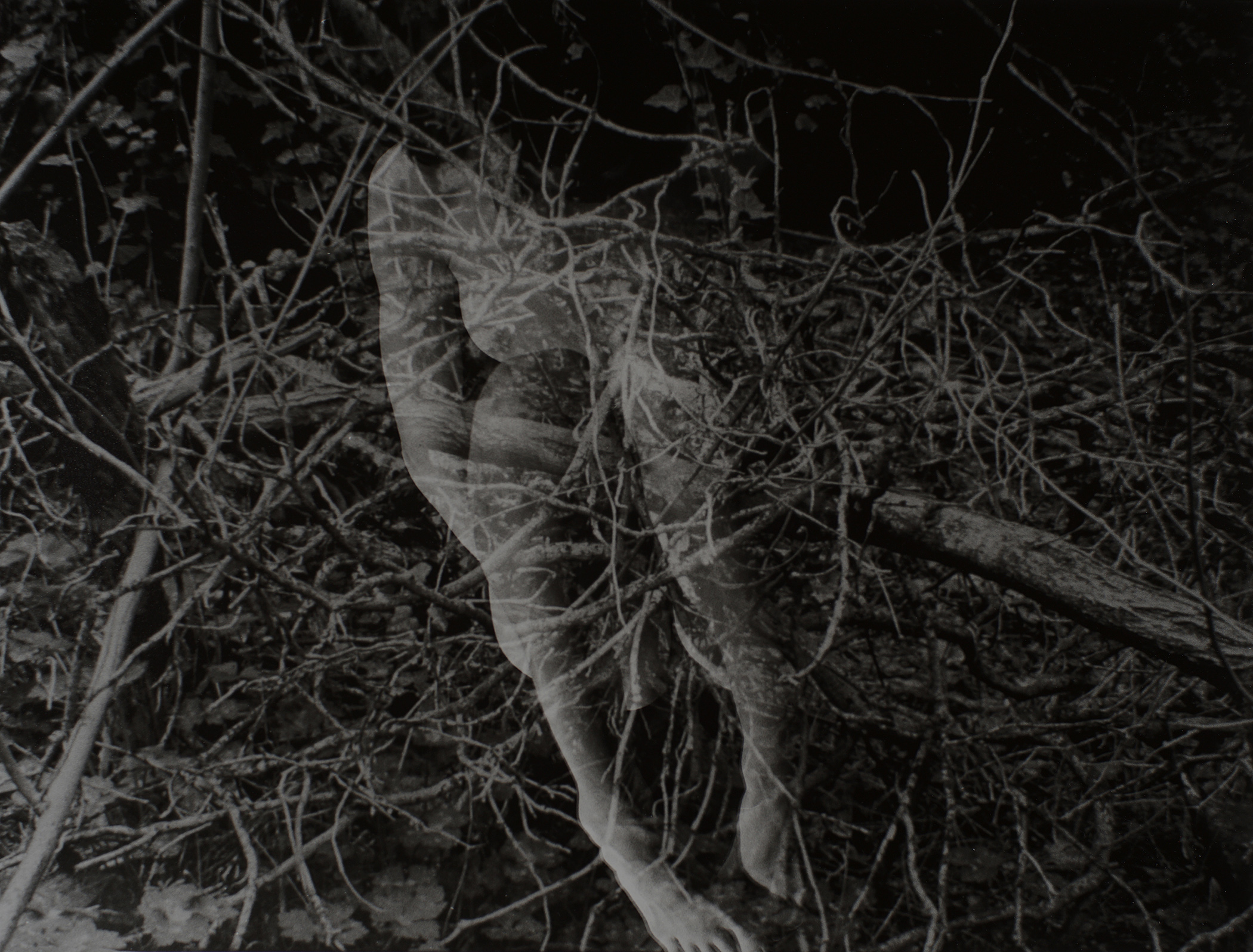 image Thom Puckey Arbor Type 0