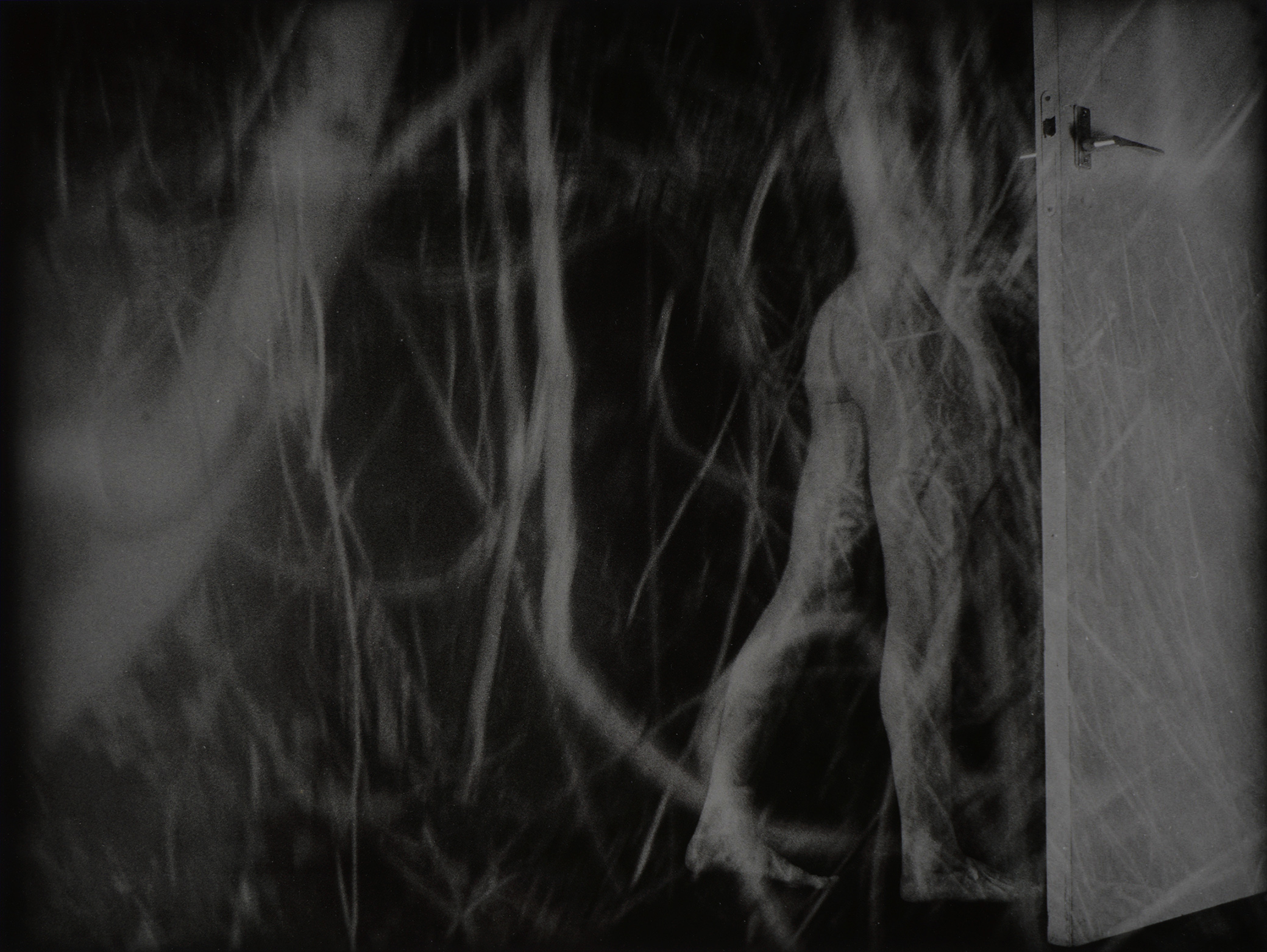 process of metamorphosis into plant by Thom Puckey