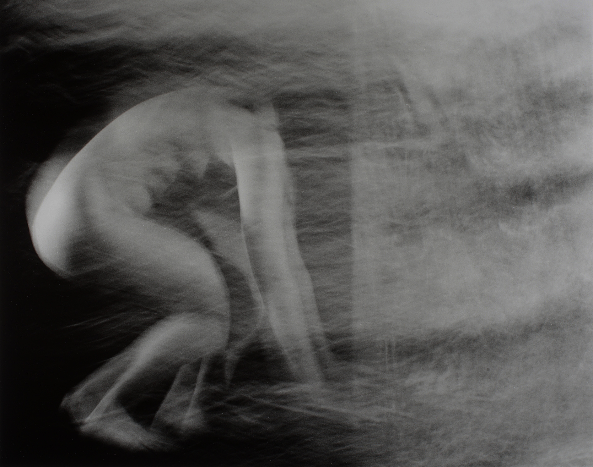 image Thom Puckey I began to go on, step by step, very slowly 0