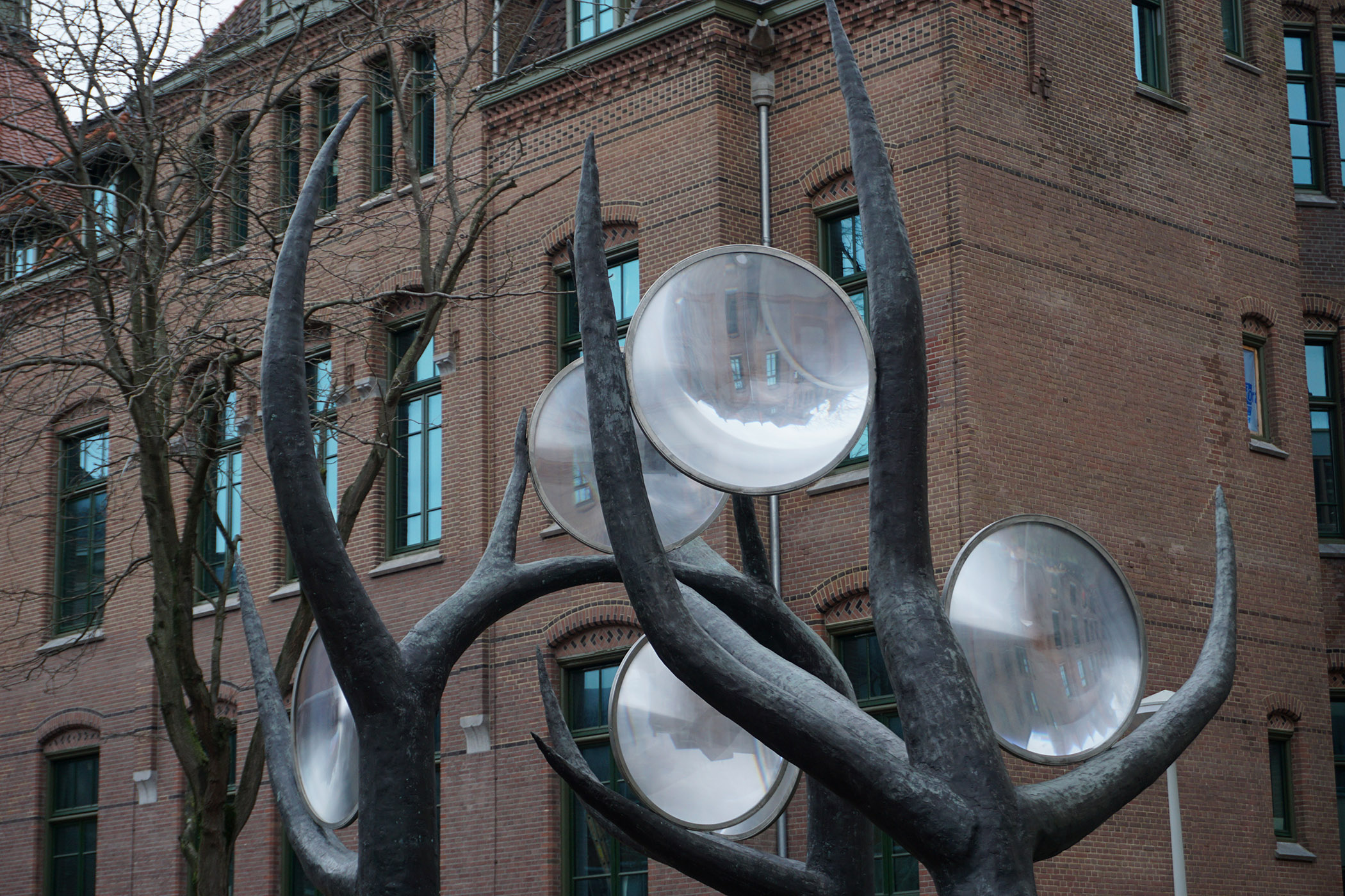 image Thom Puckey The Lens Trees, Binnengasthuisterrein, Amsterdam 5