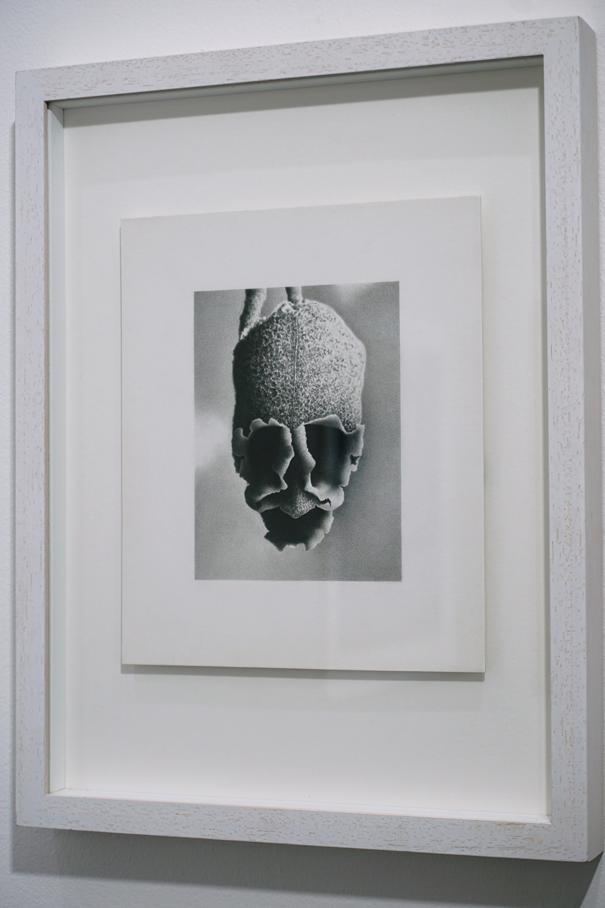 image Thom Puckey blog item 16