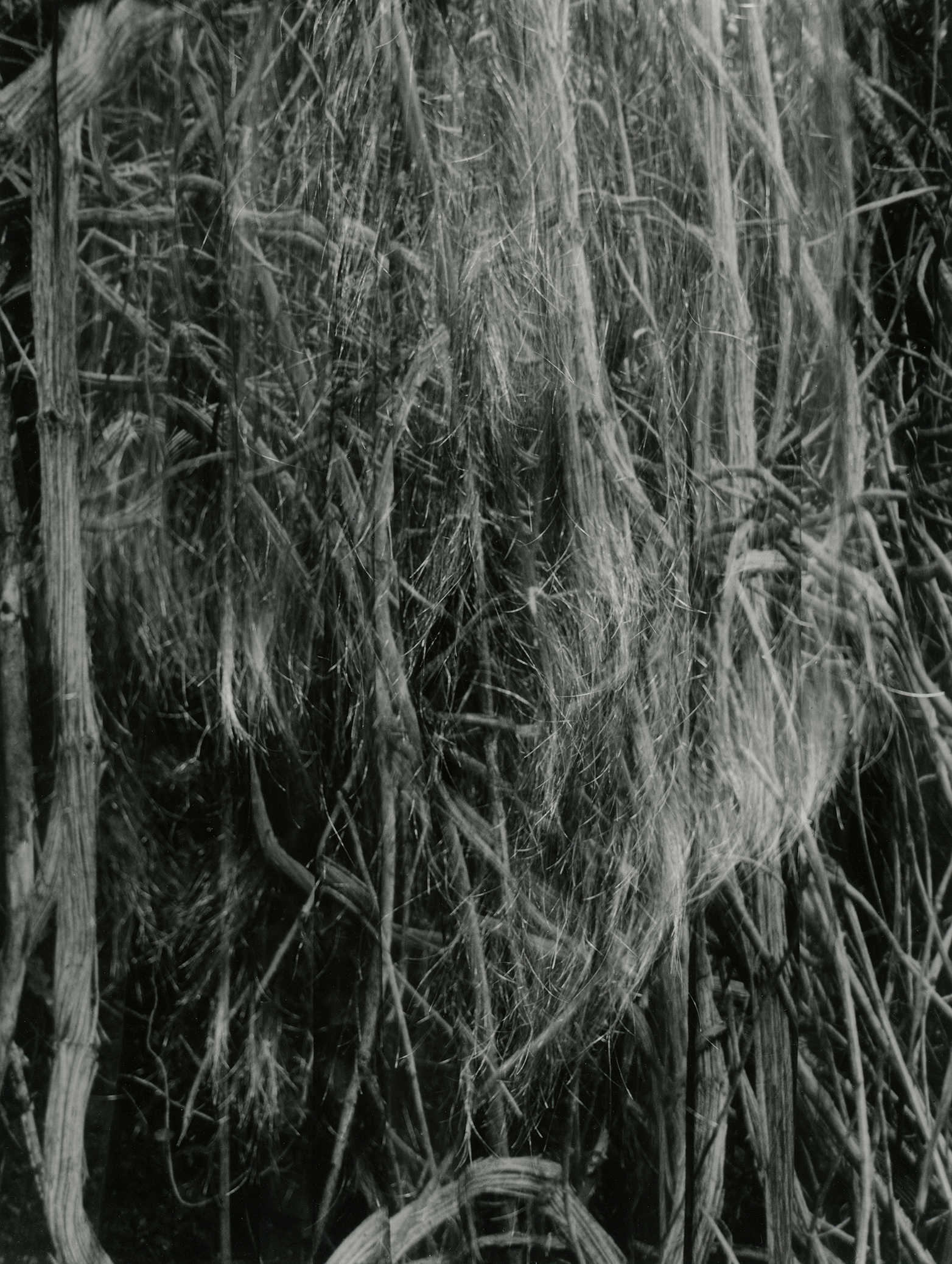 Untitled January 2026 by Thom Puckey