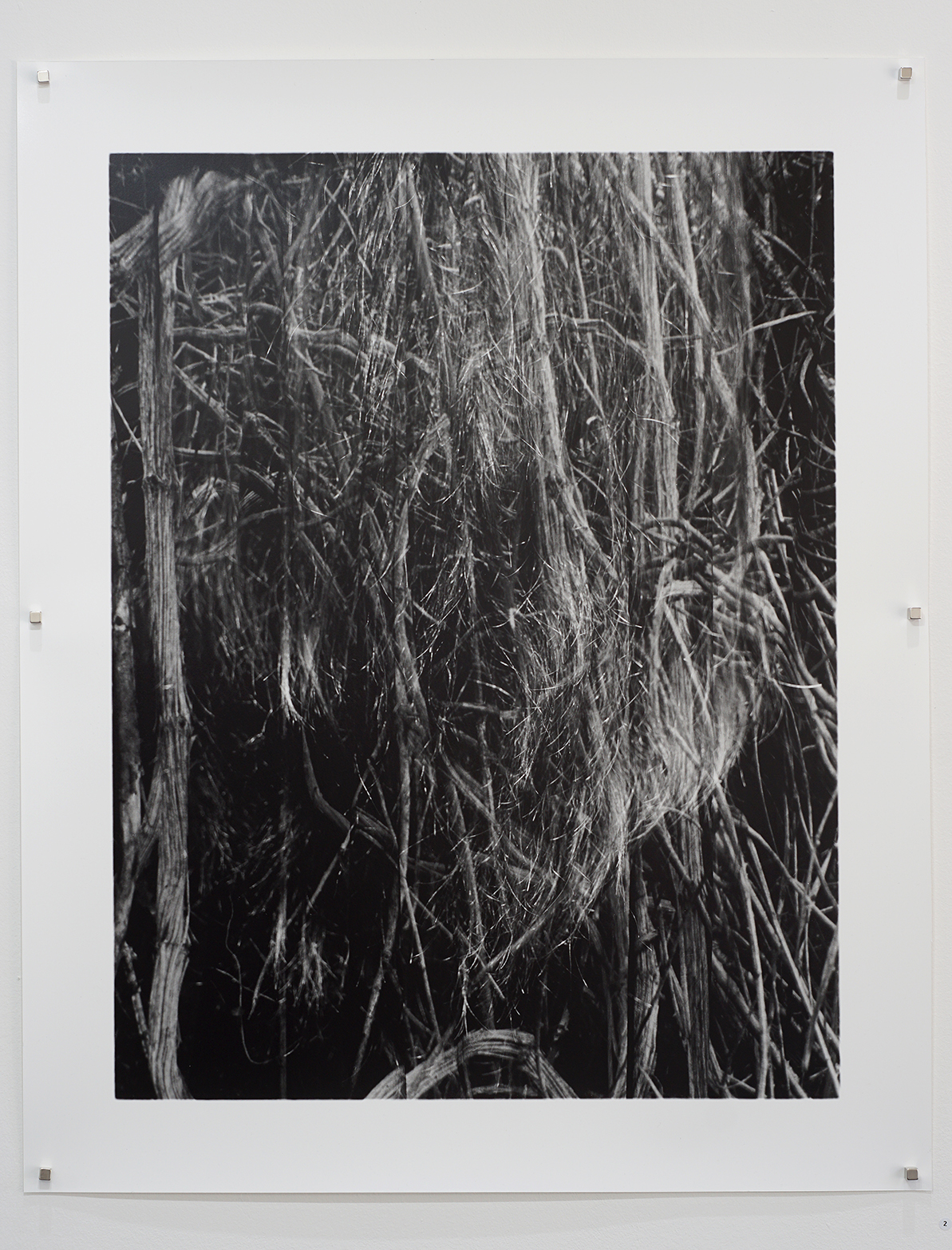 image Thom Puckey blog item 6