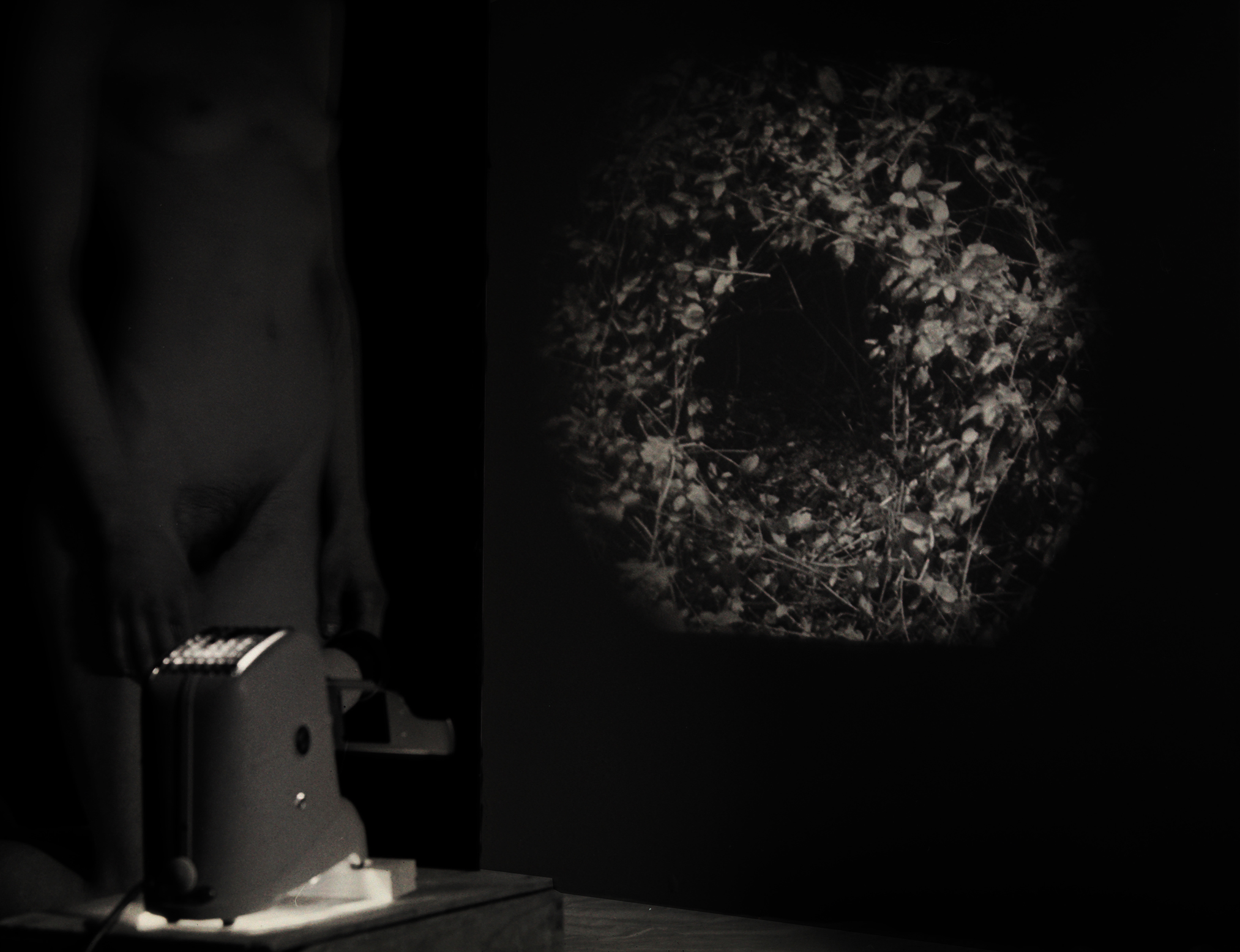 Untitled May 2025 by Thom Puckey